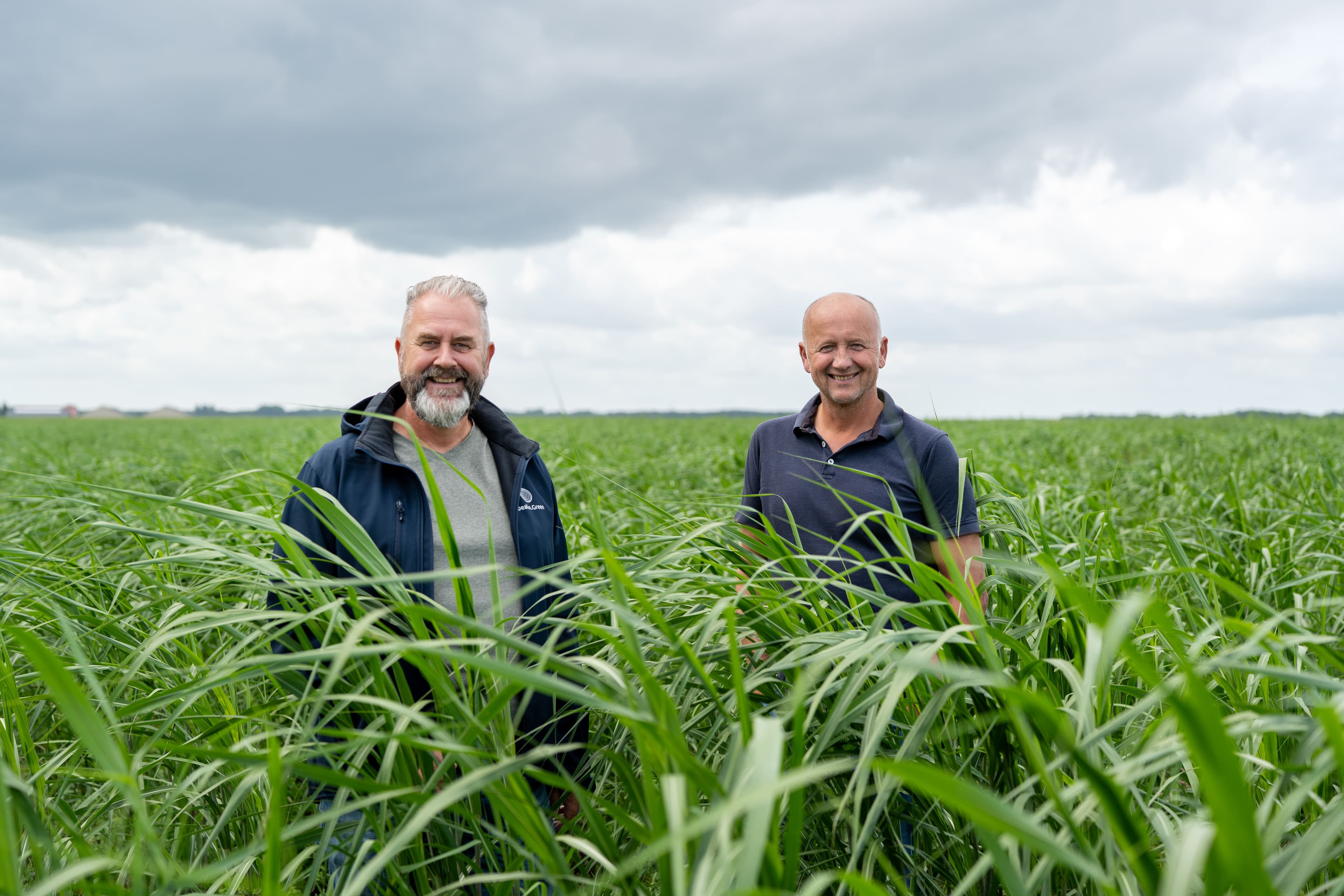 Telers en landeigenaren