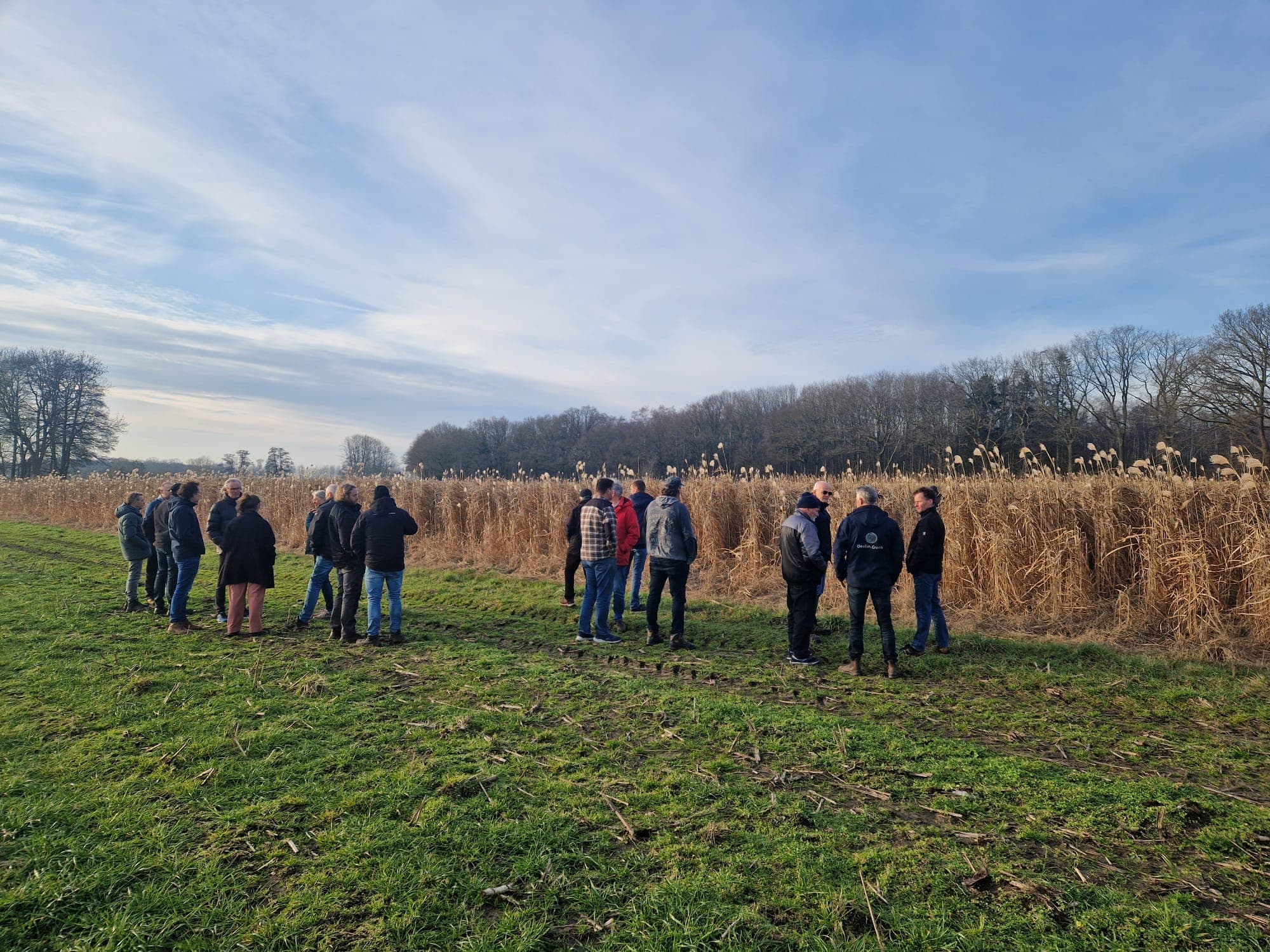 Extra Miscanthus-middag in Frederiksoord