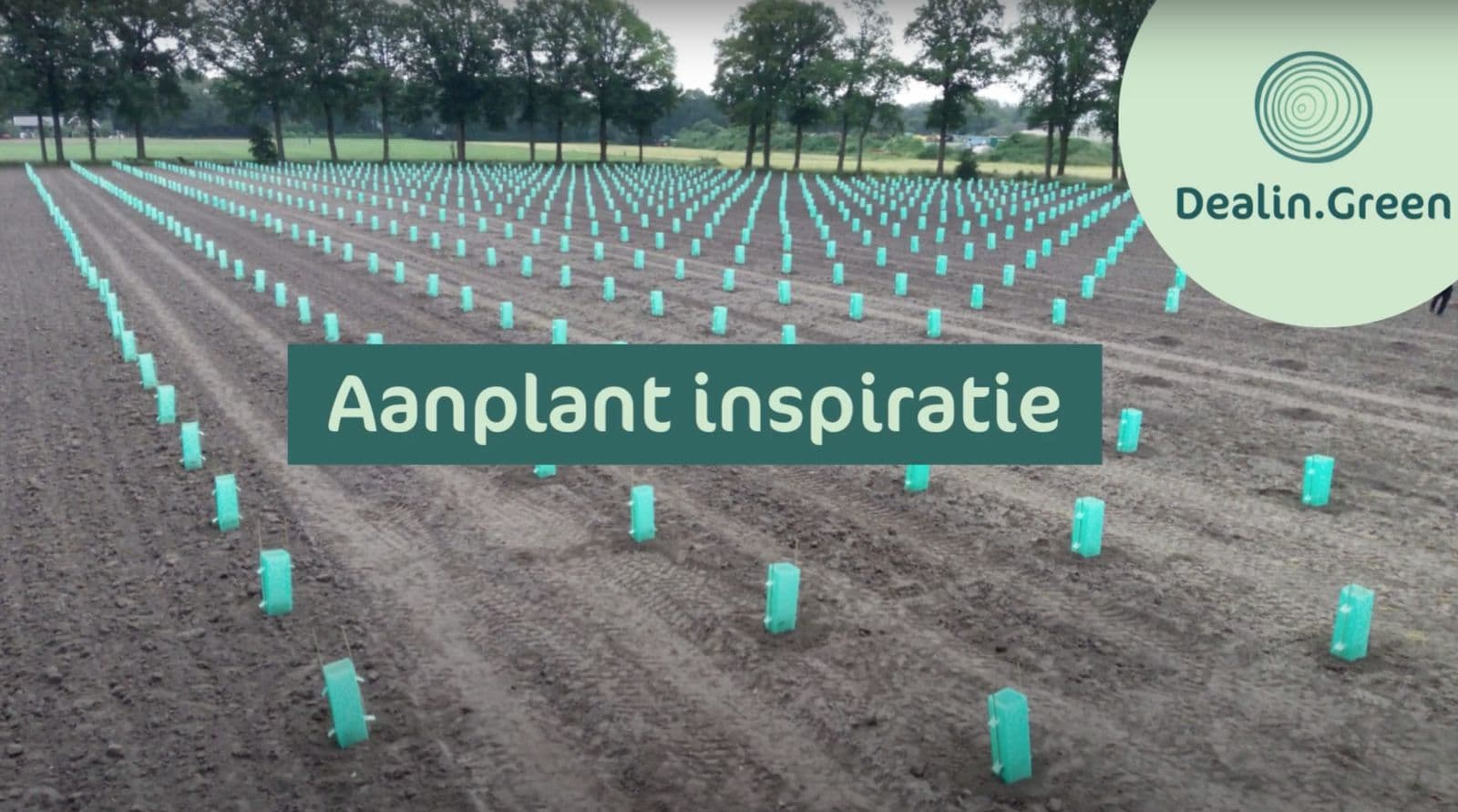 Work in progress! De aanplant van 2024 is gestart